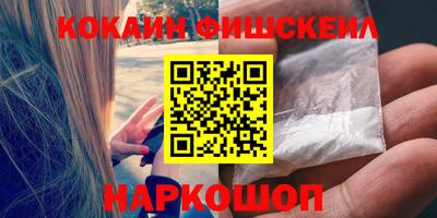 гашик Кингисепп