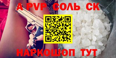 гашик Кингисепп