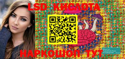 гашик Кингисепп