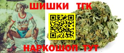 гашик Кингисепп