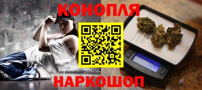 гашик Кингисепп