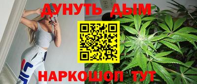 гашик Кингисепп
