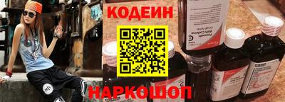 гашик Кингисепп